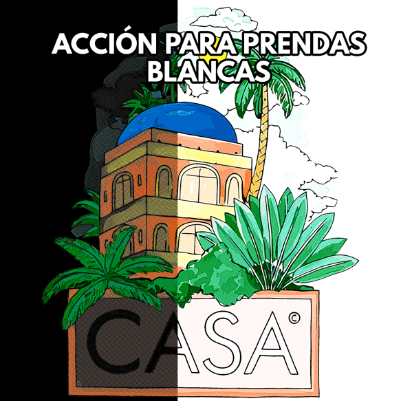 ACCIÓN-BLANCA1