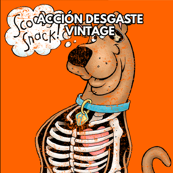 ACCION-DESGASTE-VINTAGE-2