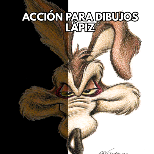 ACCION-DIBUJOS-MUESTRA1
